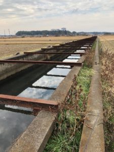 鉄骨水路、印旛沼